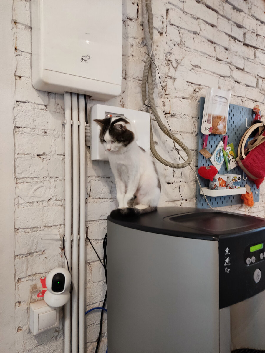  Комфорт и безопасность кошек превыше всего 