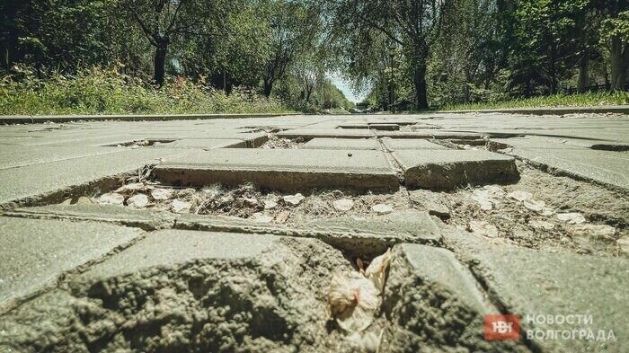     На Аллее Героев в Волгограде заменят тротуарную плитку, остров Сарпинский хотят улучшить, а территорию поймы Царицы в месте ЧП на коллекторе забросили до лучших времён.