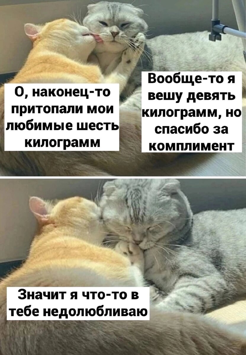 Картинка из Вконтакте