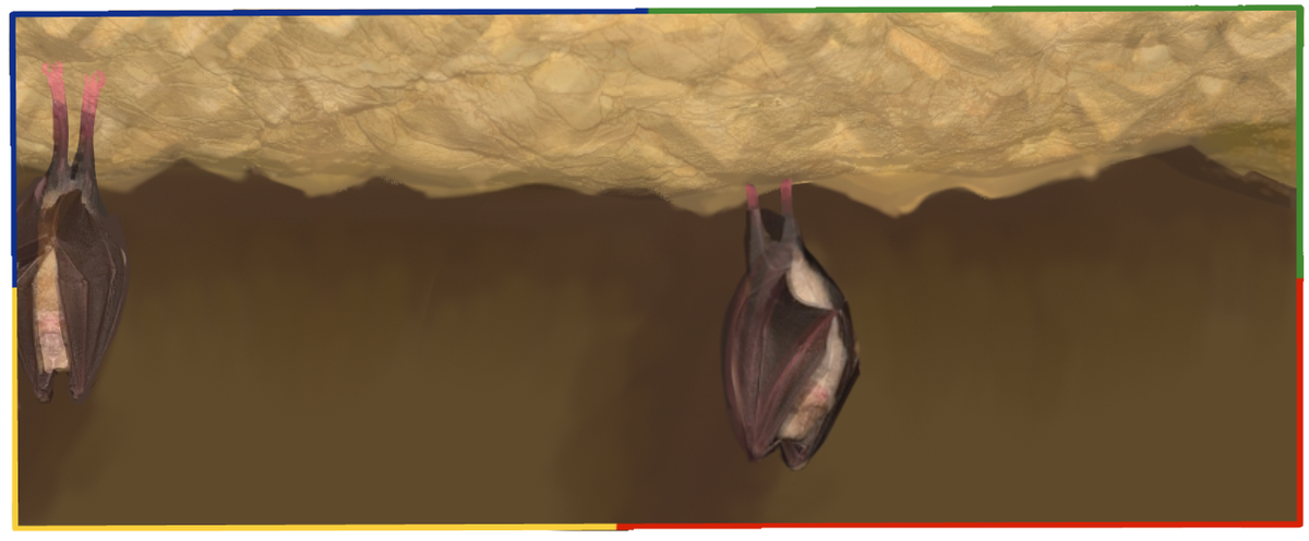 Ставьте лайк и подписывайтесь на канал, чтобы не пропустить новые полезные статьи!