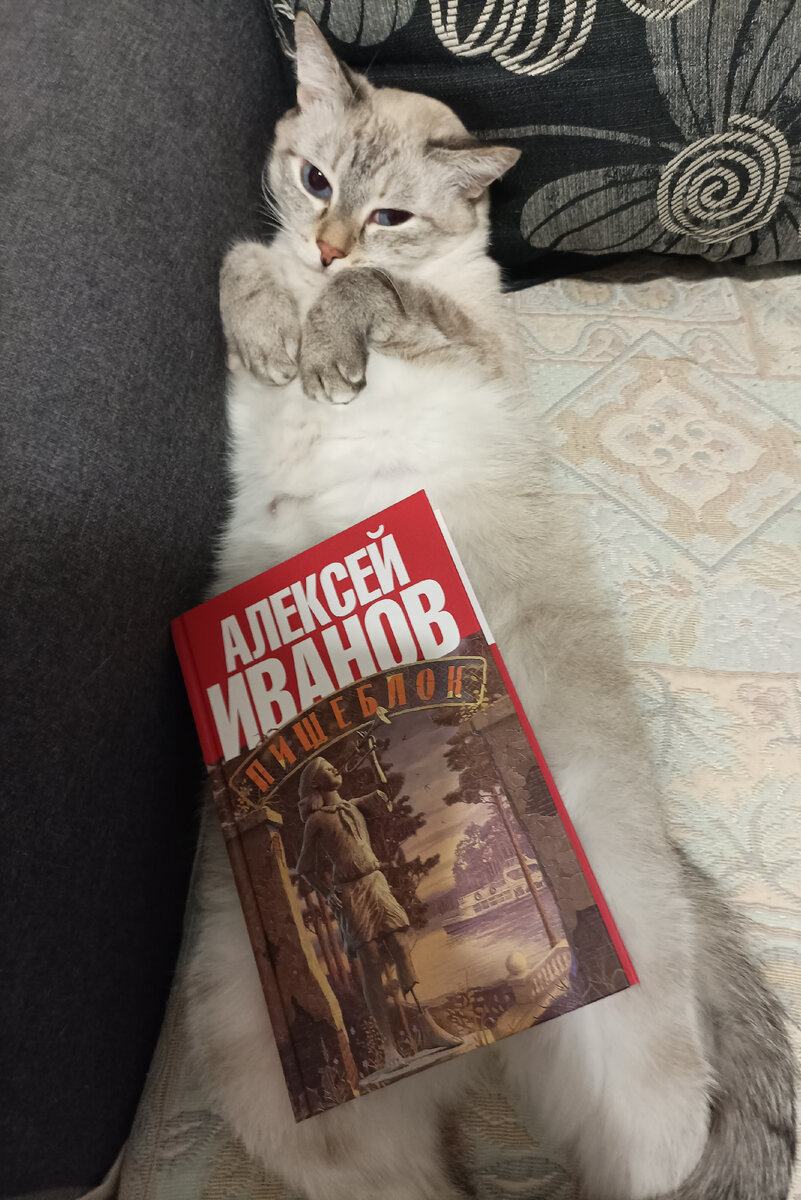 Сегодня читаемую книгу от "Издательства Елены Шубиной" снова представляет Дженька. 