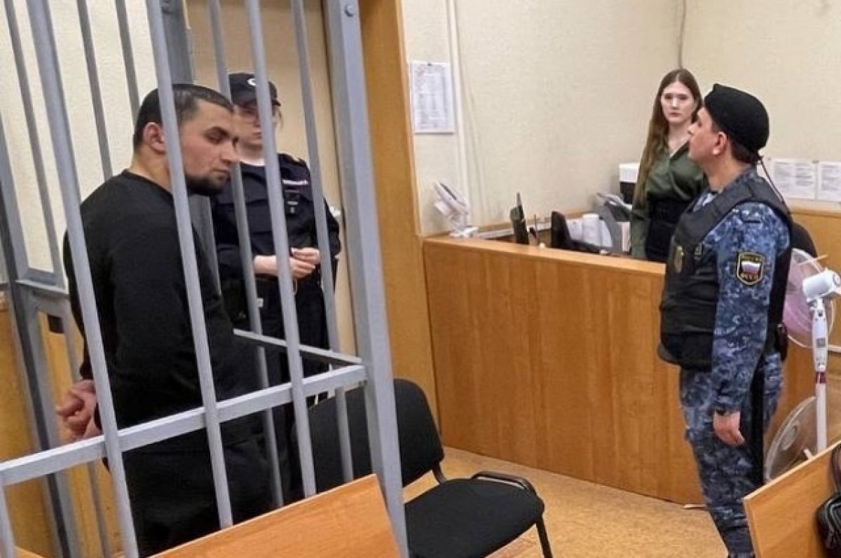    Мигранта, проломившего голову волонтеру в Екатеринбурге, осудили на 8,5 лет