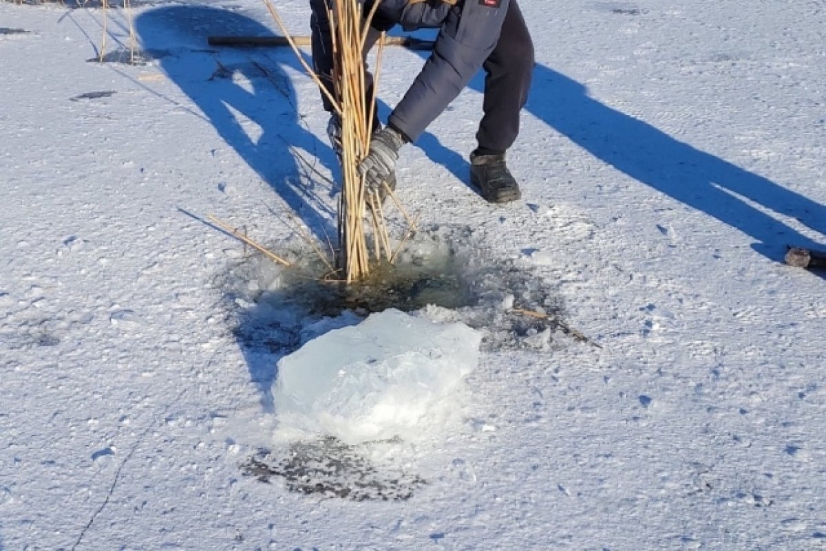    В Волгоградской области выросли вылов рыбы и ее переработка