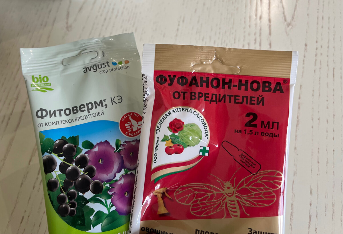 Препараты от вредителей комнатных растений. | Наши растения | Дзен