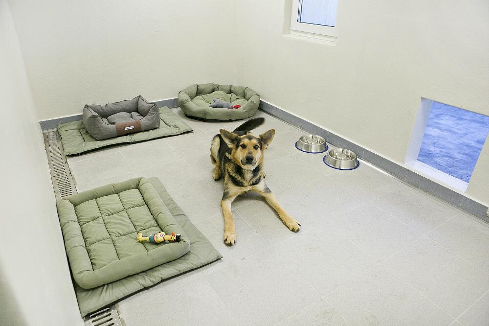 Фото с просторов.