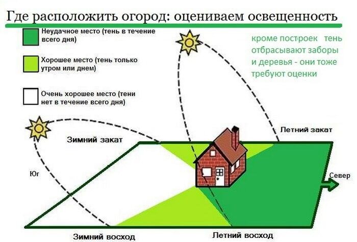 Огород для новичков: с чего начать закладку грядок