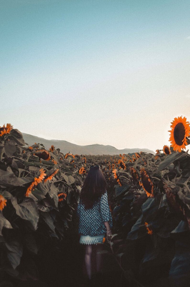 Источник pexels.com