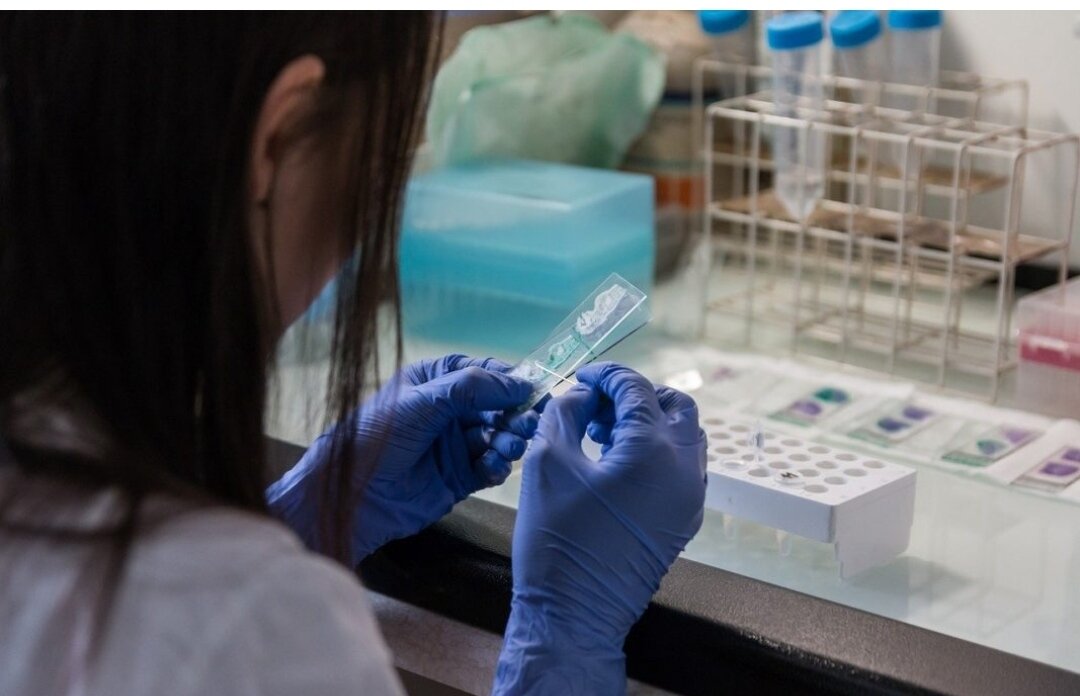 BIOCAD предоставил результаты исследования по эффективности онкопрепарата