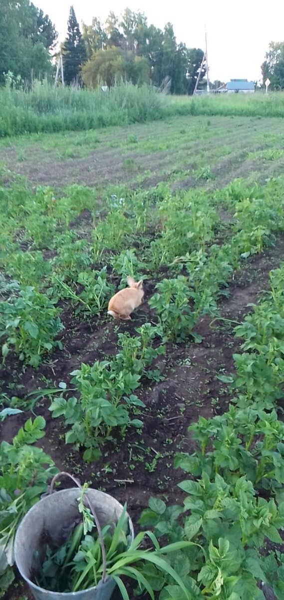 Свободу надо полюбить!