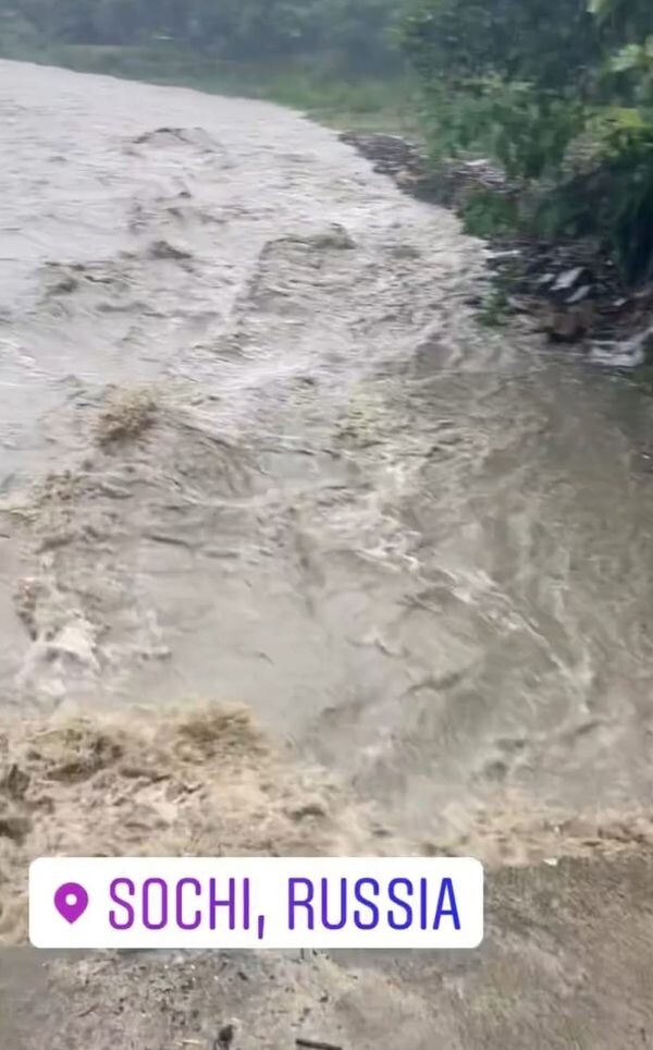 Фото: Владимирские новости