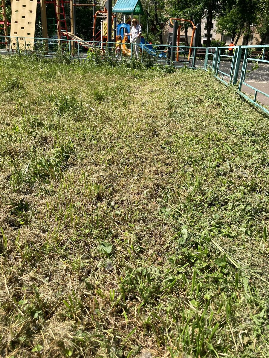 Источник: Facebook / Светлана Смирнова