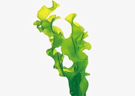 картинка с pinterest https://www.pinterest.ru/pngtree/