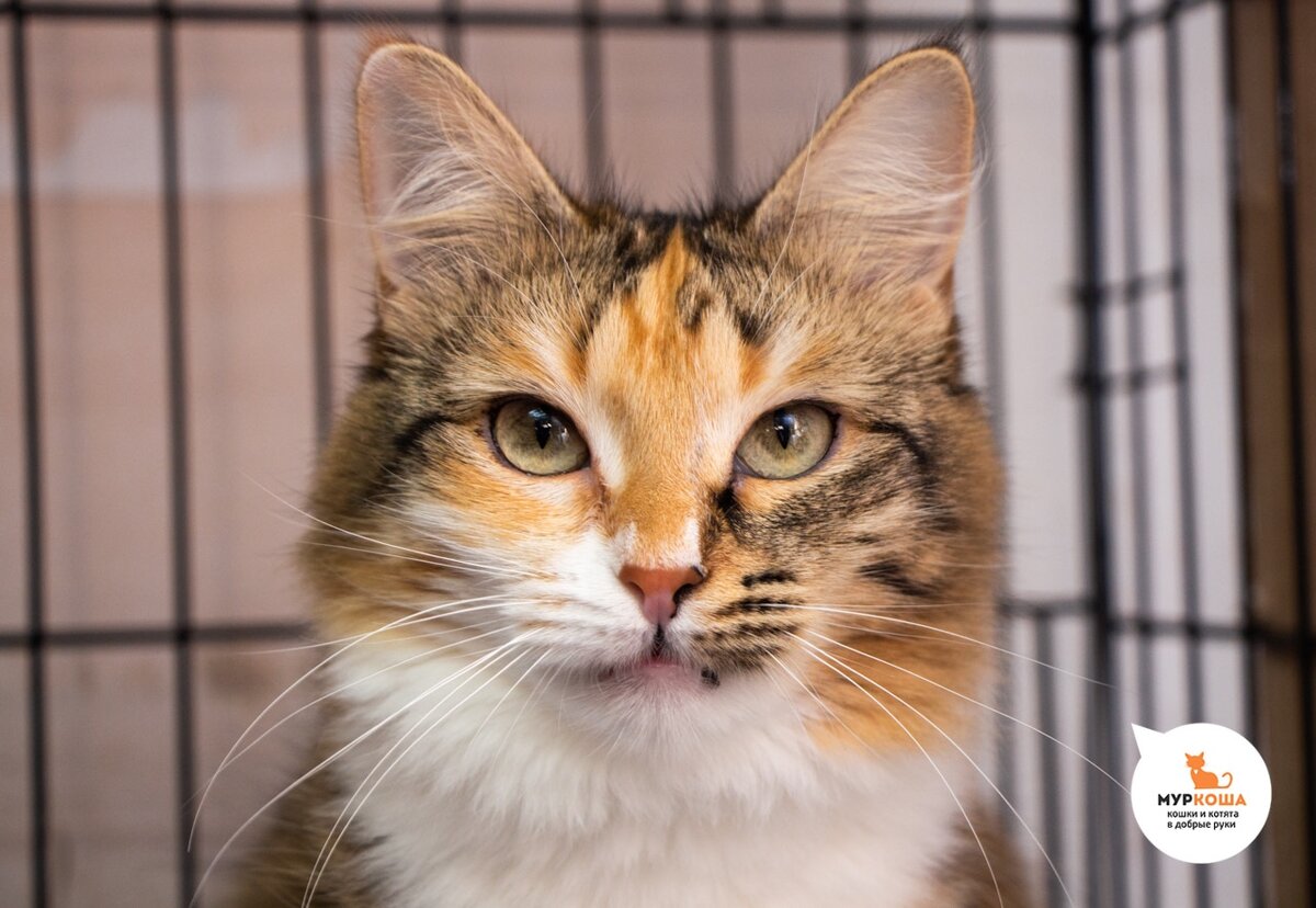 Бесстрашная и с сильным характером