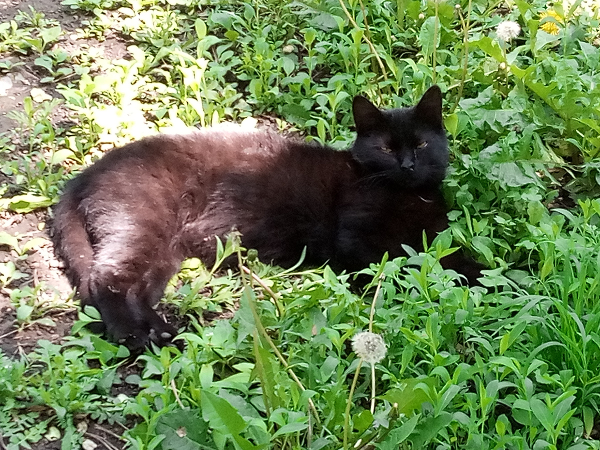 ПОТОМ - ОТДЫХАЕТ