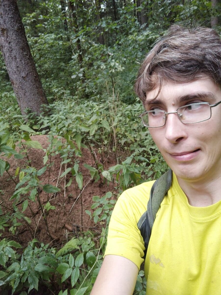 Автор думает, не сесть ли ему на муравейник. чтобы принести пользу обществу? ))