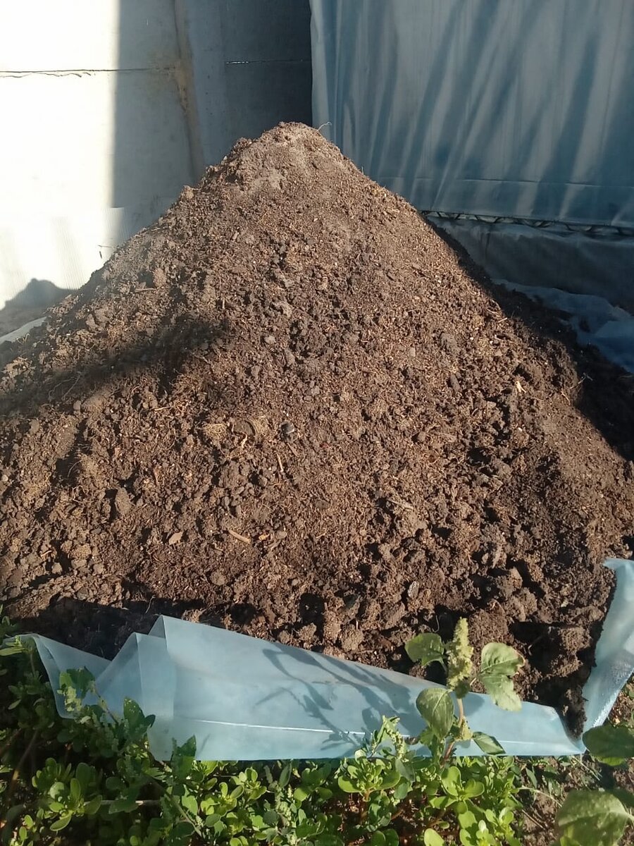 Моя кучка отработки этого сезона. Здесь только грунт от непроданной цветочной рассады, но скоро эта кучка пополнится грунтом из горшков с однолетниками и увеличится в несколько раз.