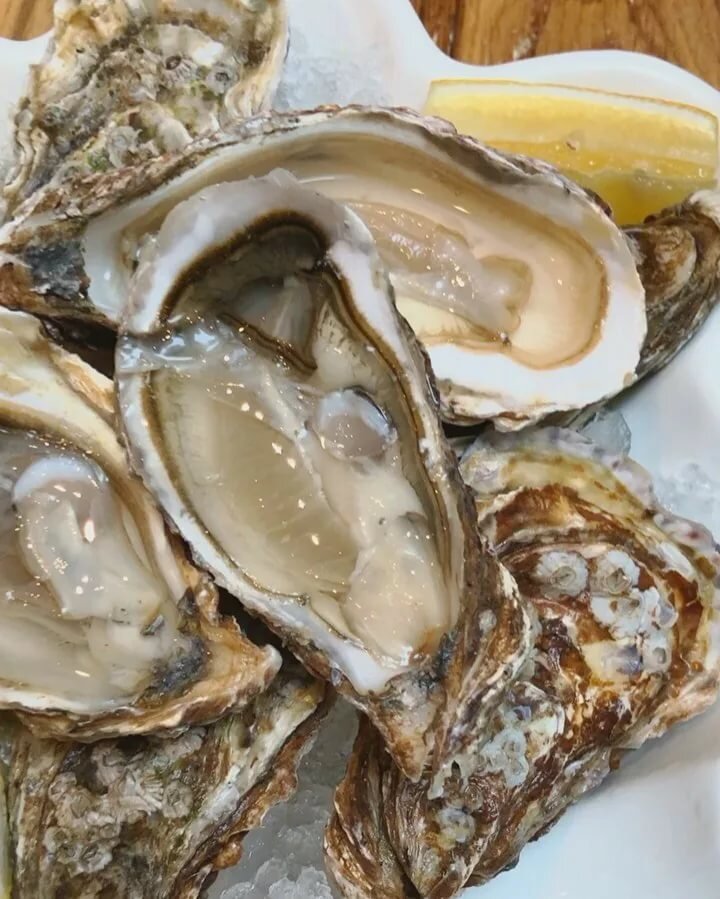 Устрицы вида Ostreid