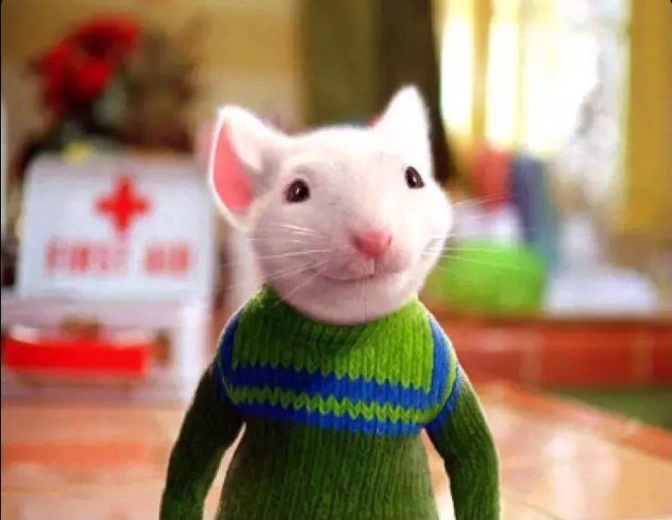 Стюарт Литтл