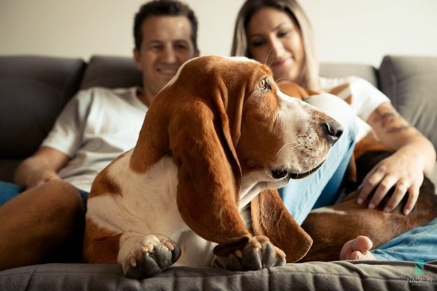 Фото из источника bestlj.ru