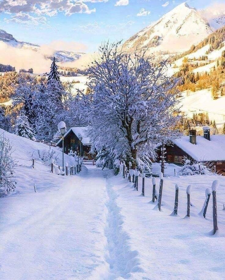 Картинка из интернета