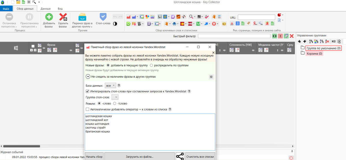 Интерфейс программы Key collector