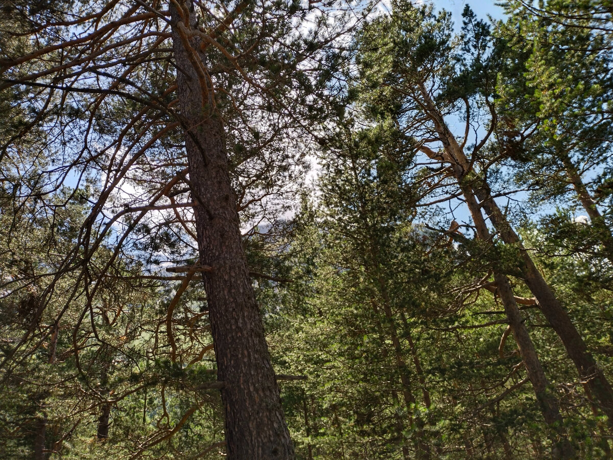 Фото автора канала