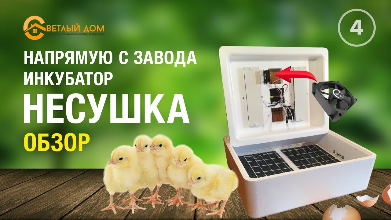 4. Обзор инкубатора Несушка. Инкубатор с переворотом яиц. Где купить  домашний инкубатор.