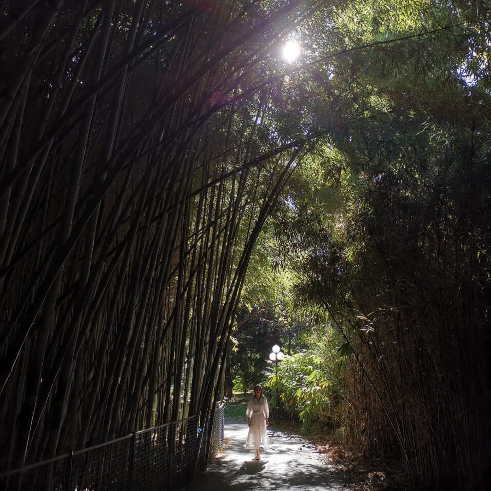 Октябрь 2020 года, температура была выше +20 С