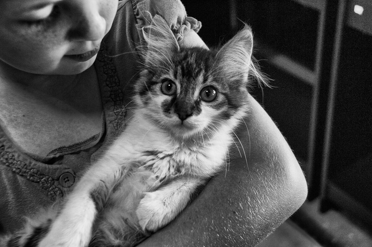 Девочка держит в руках кота, черно-белое фото кота