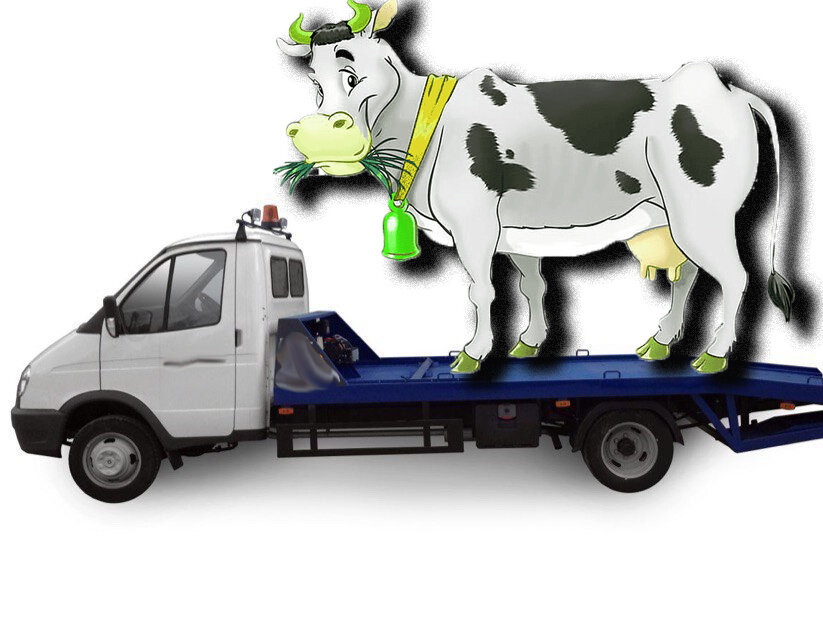 Внимание! Работает эвакуатор.