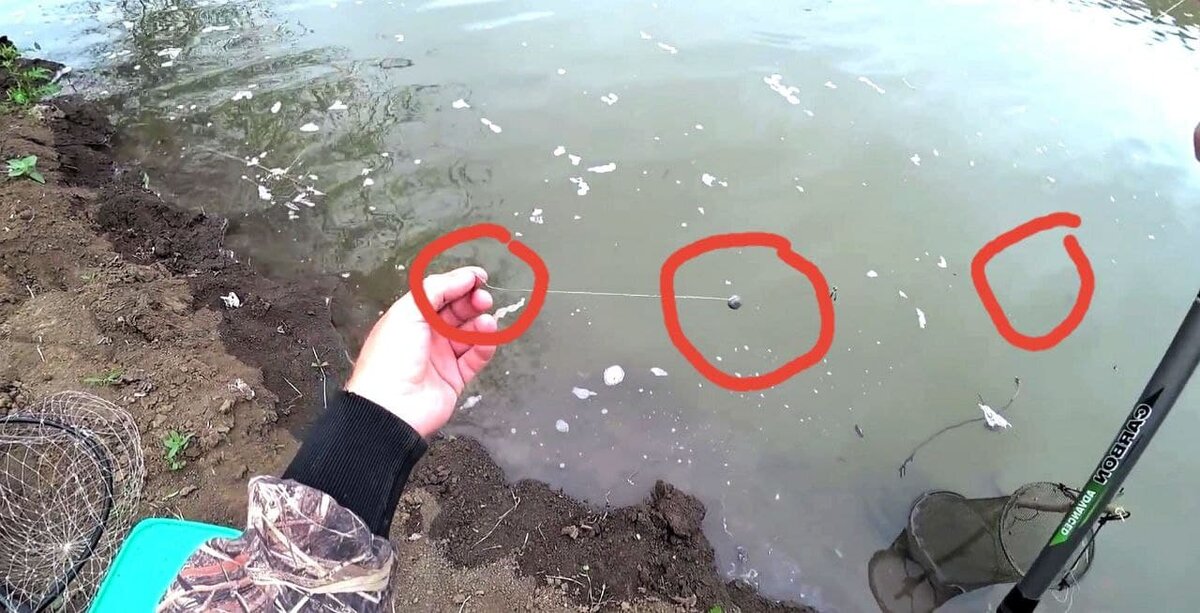 А вот так выглядит карасиная снасть в собранном виде. Выше размещается поплавок.