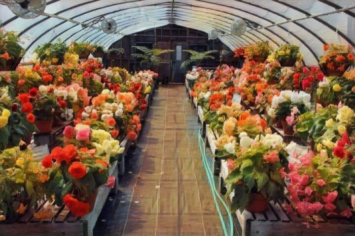 цветочная ферма