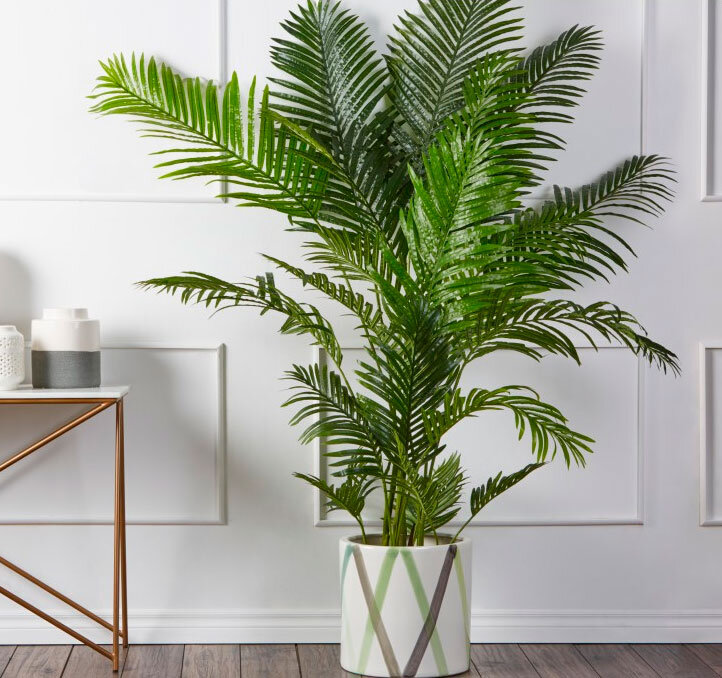 Фото из открытого источника