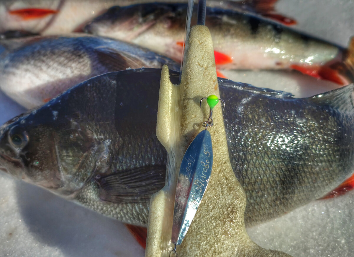 Лиговка-5 второй версии