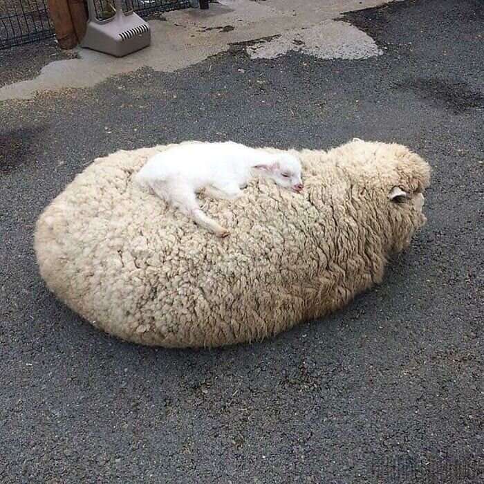 Удобненько и мягонько