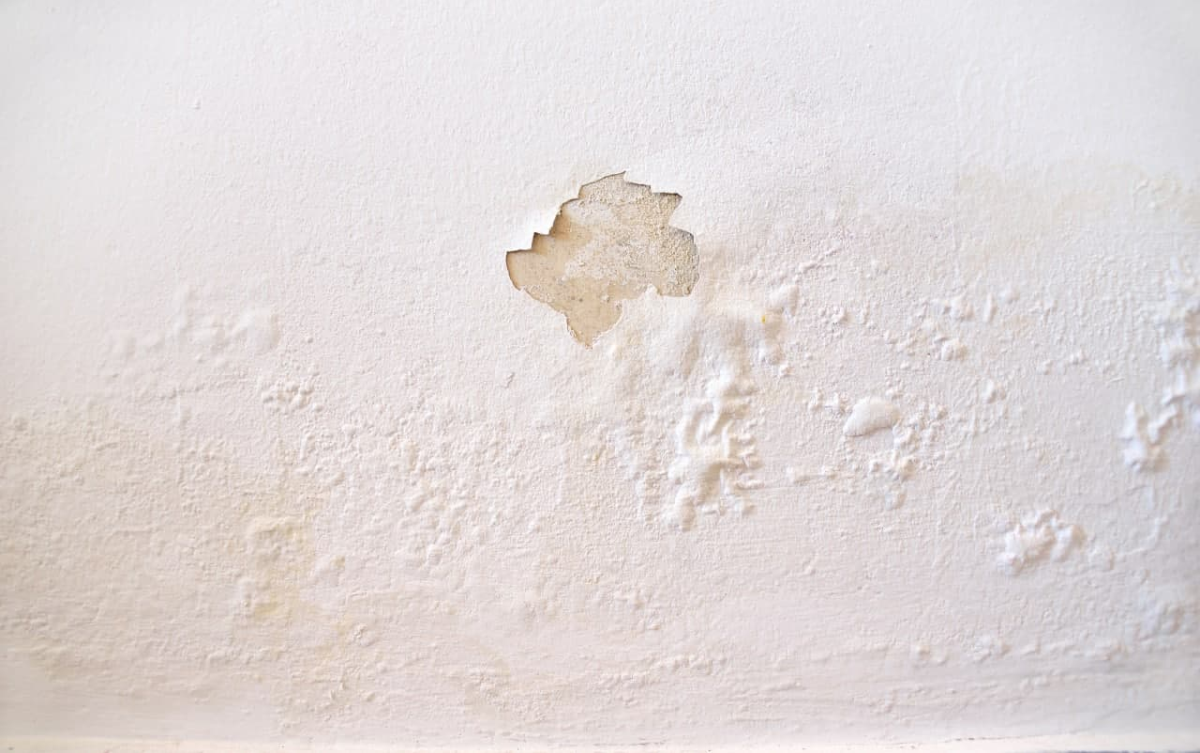 Белая краска для стен. Покрашена стены пузыри. Пузыри на штукатурке. Вспучилась штукатурка на стене. Почему пузырится краска