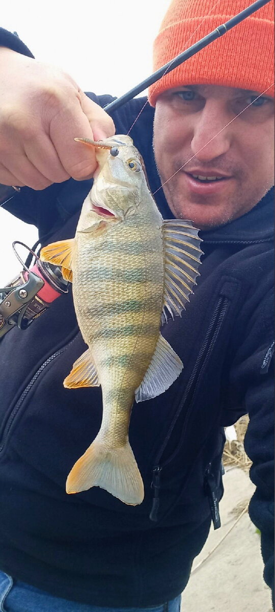 Окунь с 8-ю полосками, это редкость.