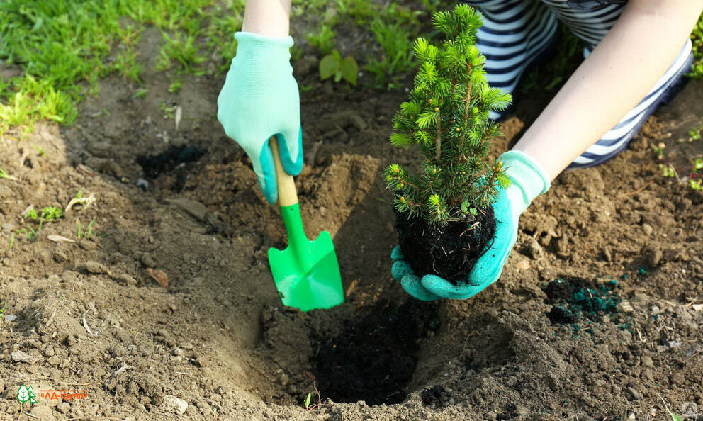 Шаг восьмой