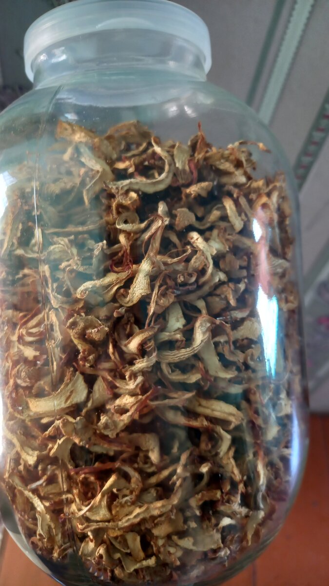 Лисички в банке