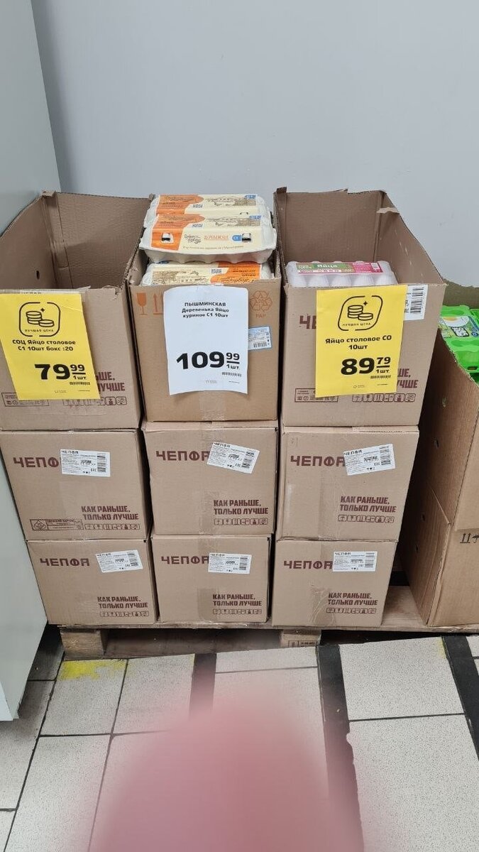 ФОТО: ОБЩЕСТВЕННАЯ ПАЛАТА НОВОГО УРЕНГОЯ