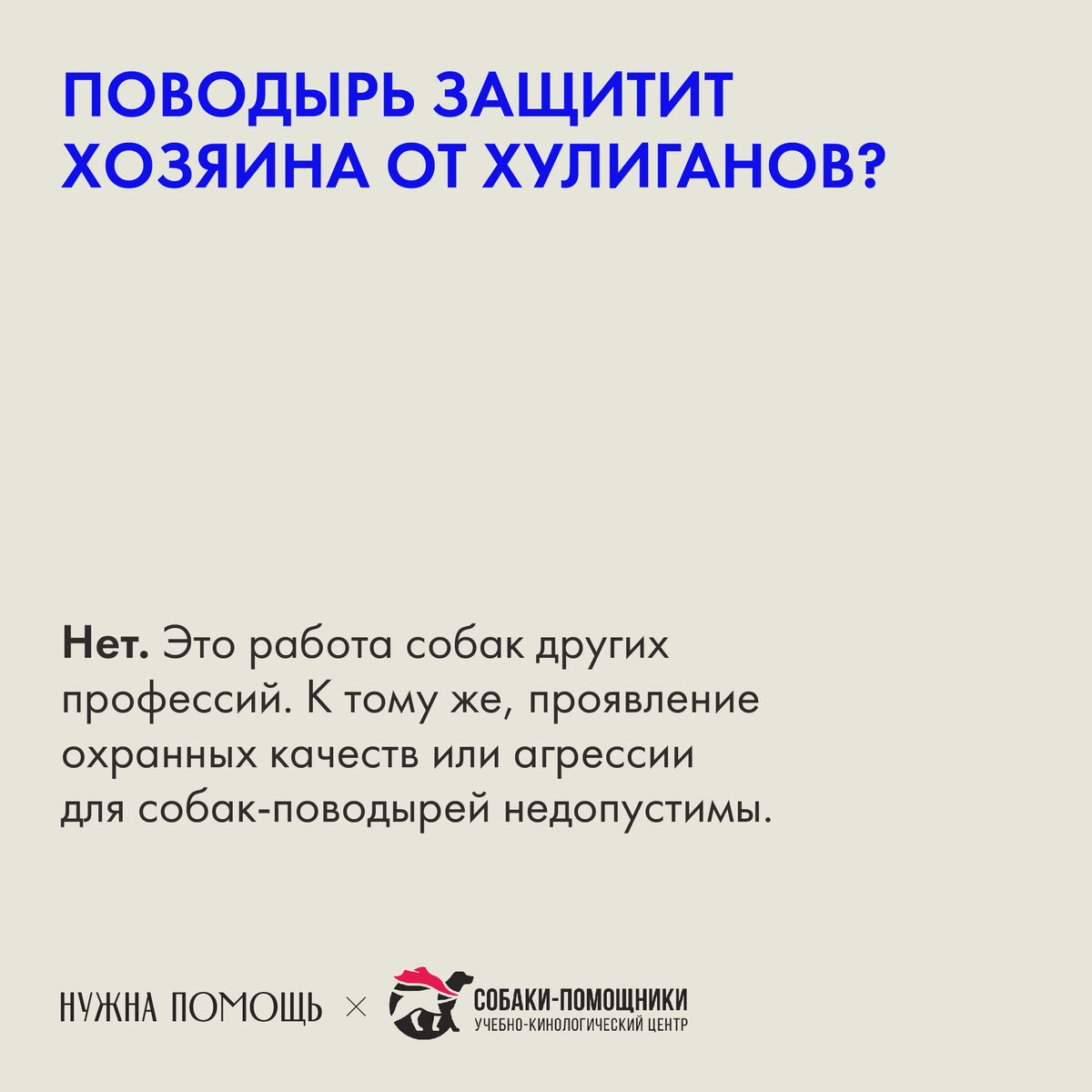 Все о собаках-поводырях | Нужна помощь | Дзен