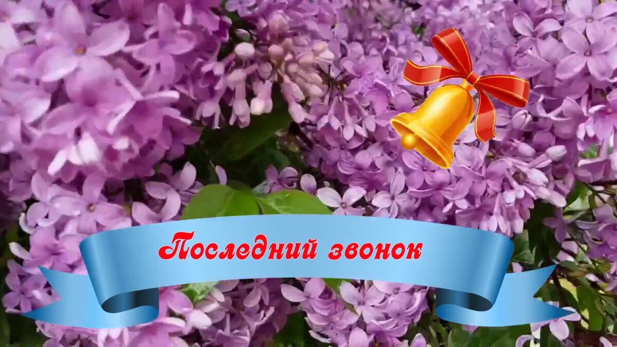 Картинка из открытых источников