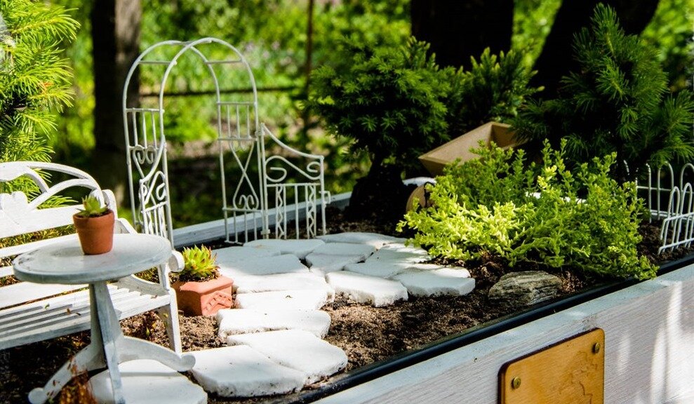 красивые мини-сады