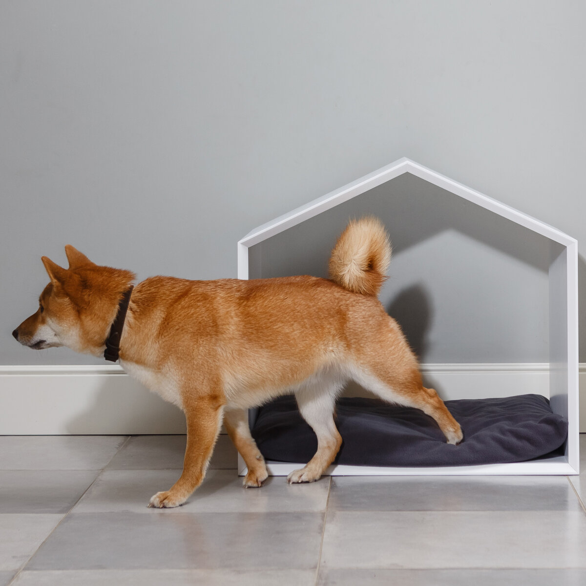 лежак для собак