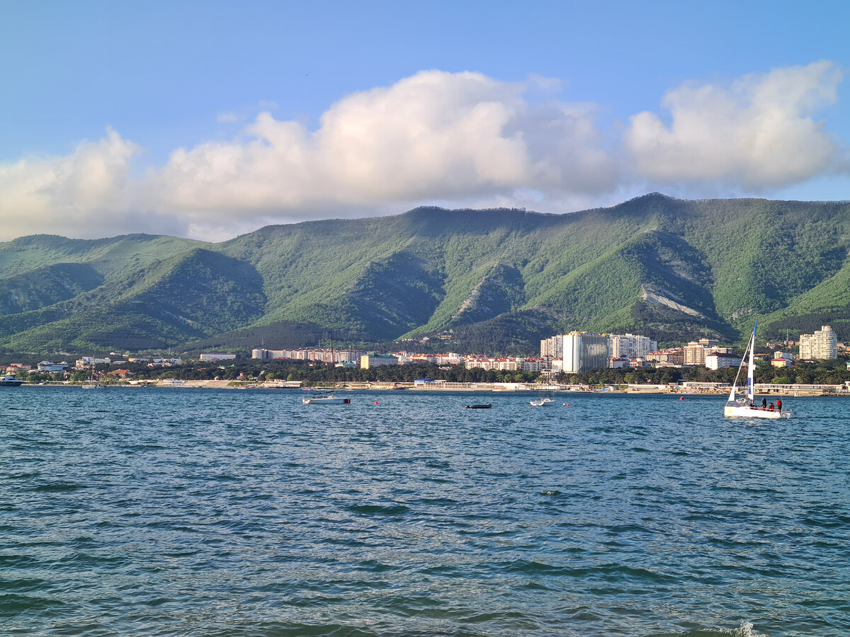 Живу в Геленджике 