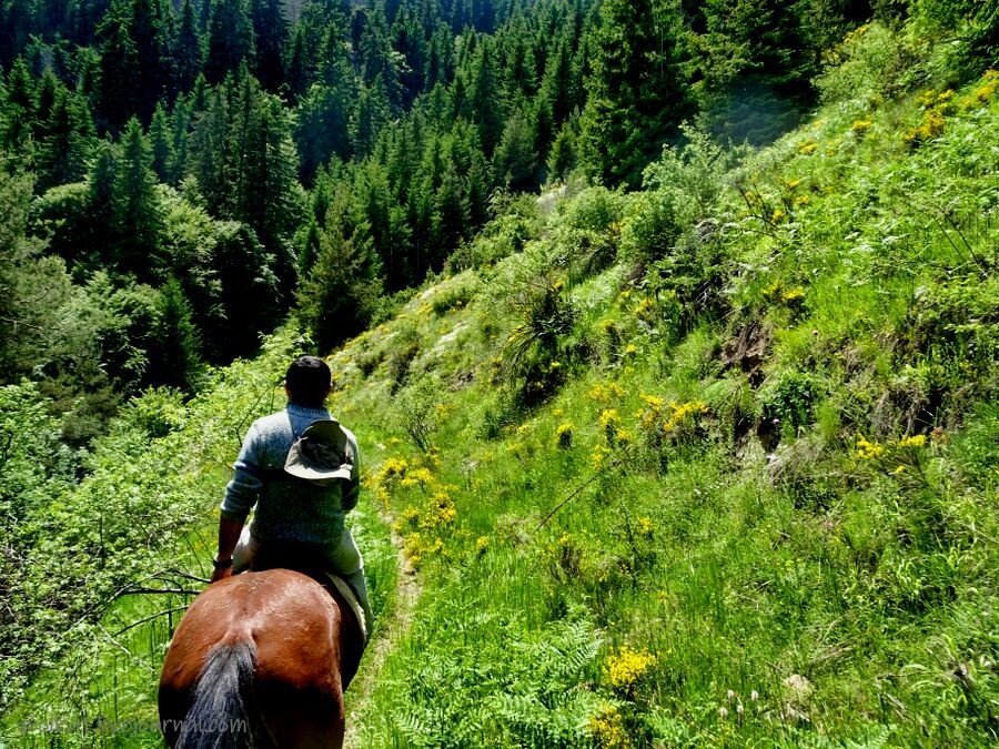 фото из интернета