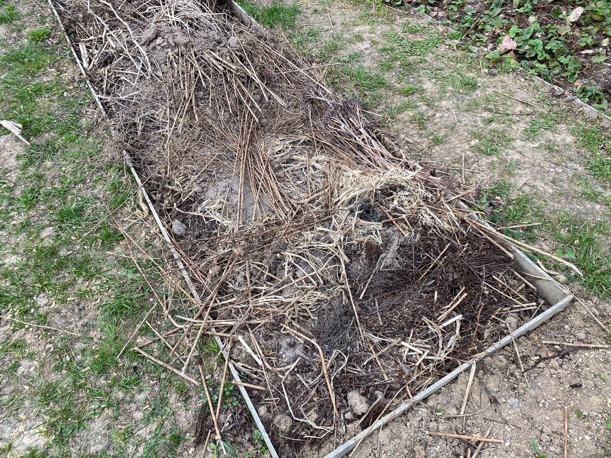 Та самая пустая грядка после зимовки.