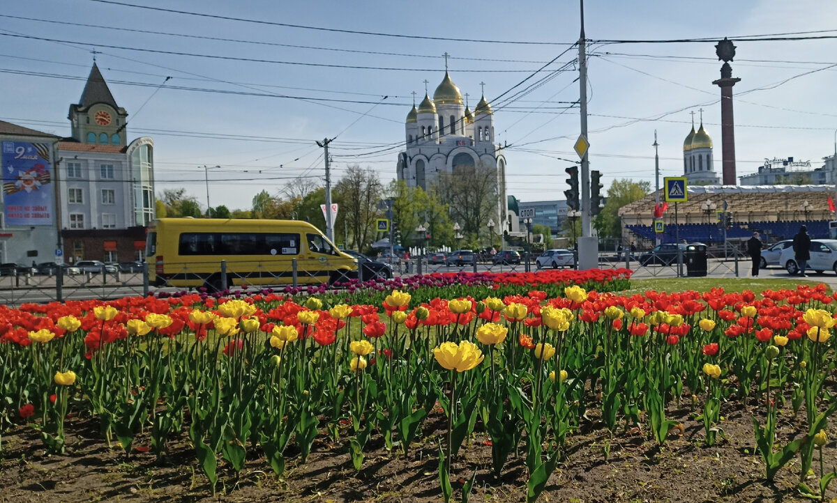 Цветы на площади Победы