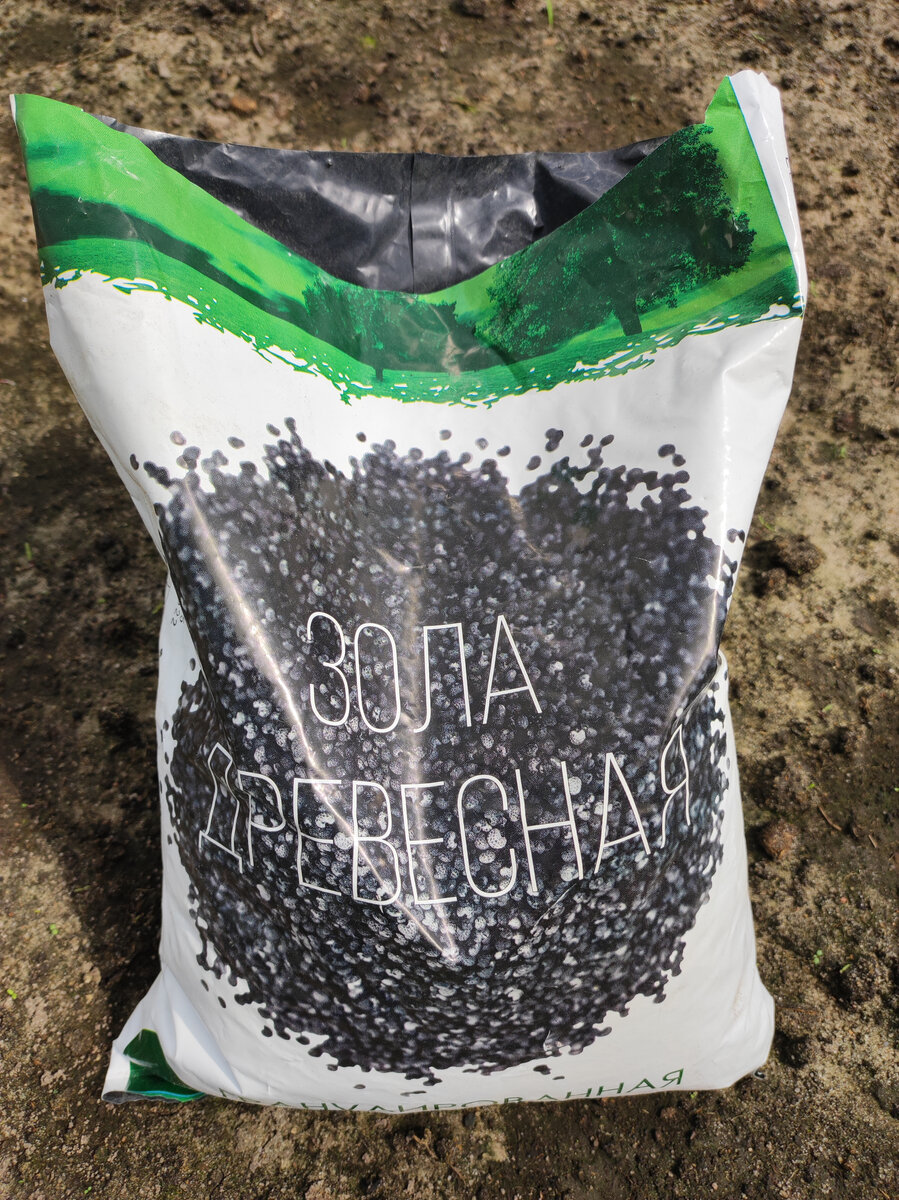 Фото автора, покупная древесная зола, май 2022 г.