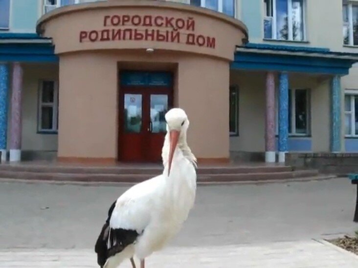 Из Яндекс картинок... 